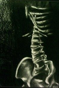Spine, charcoal, 2004